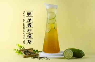 鸭屎香柠檬茶_1.jpg